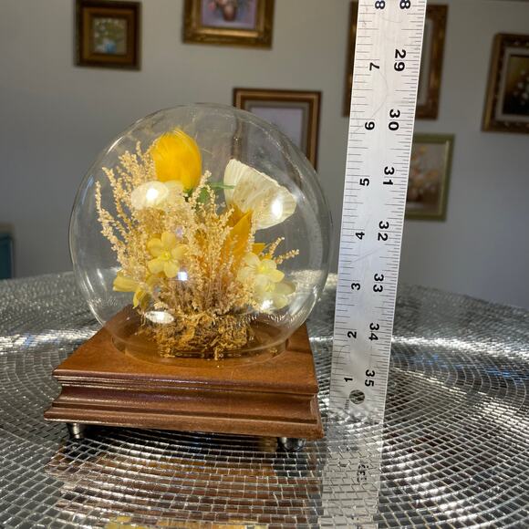 vintage taxidermy butterfly in globe yellow MCM - Picture 8 of 14